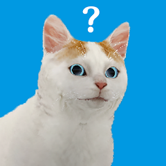 ������Ϸ è���ӽǣ�