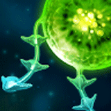 ����ս��