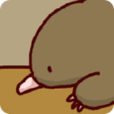 ��������